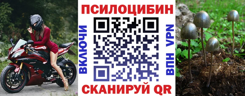 цены наркотик  Алатырь  Псилоцибиновые грибы ЛСД 